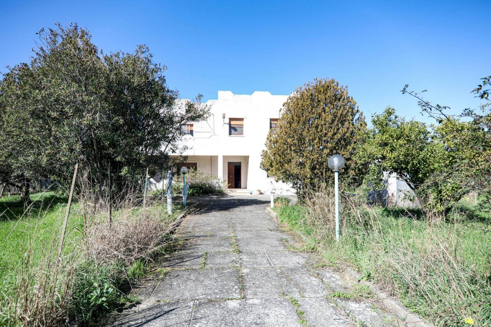 Villa Sellia Marina - photo 2