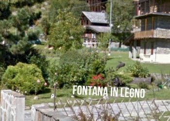 Baita Riva valdobbia, Alagna Valsesia - foto 15