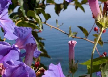 Casale Tusa - foto 5