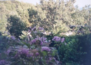 Cascina Serre, Radicondoli - foto 14