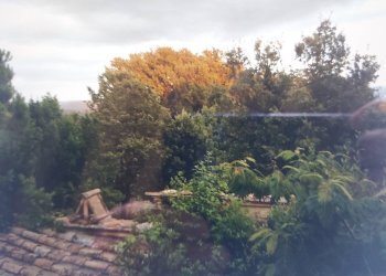 Cascina Serre, Radicondoli - foto 15