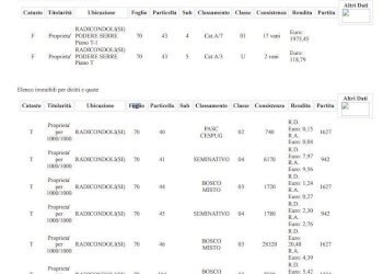 Cascina Serre, Radicondoli - foto 19