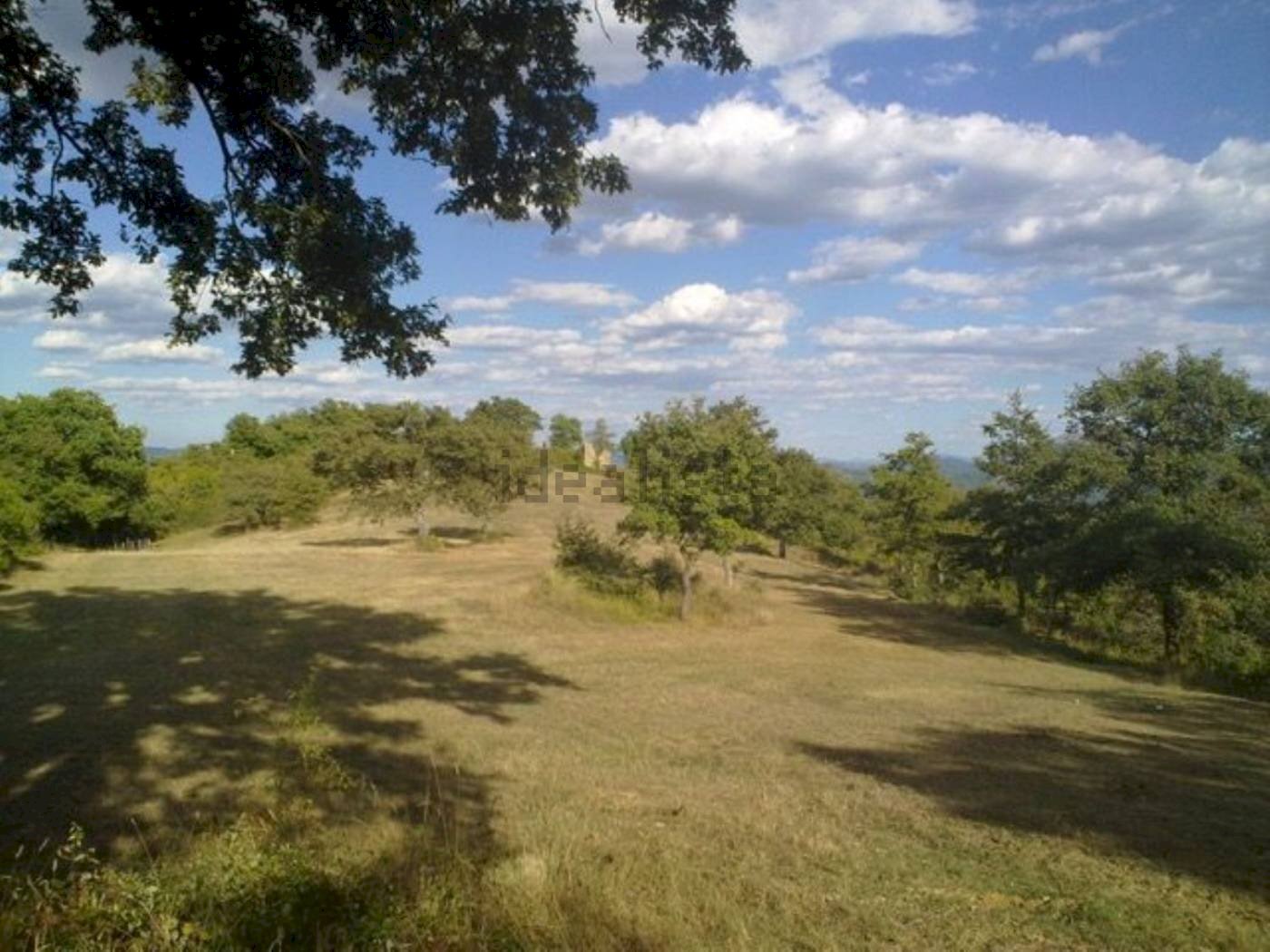 Terreno agricolo Reschio, Lisciano Niccone - foto 3