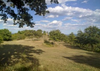 Terreno agricolo Reschio, Lisciano Niccone - foto 3