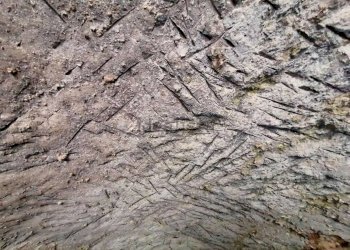 Cascina Via Centrale, Ischia - foto 4