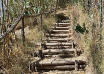 Cascina Via Centrale, Ischia - foto 24