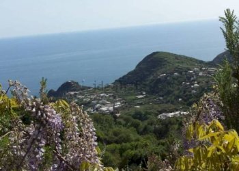 Cascina Via Centrale, Ischia - foto 29