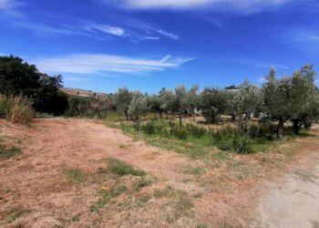 Villa Caccianova, 1, Cassano all'Ionio - photo 8