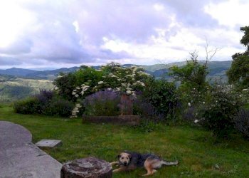 Farmhouse Caresto, Gubbio - photo 4