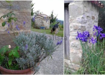 Farmhouse Caresto, Gubbio - photo 25