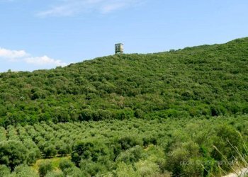 Villa Provinciale, Orbetello - foto 28