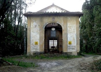 Villa Via Provinciale s.n.c., Montelupo Fiorentino - foto 7