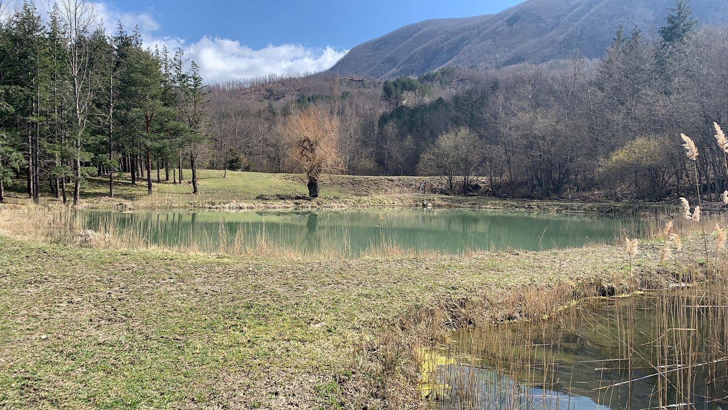 Cascina Località Bargi, Castiglione dei Pepoli - foto 2