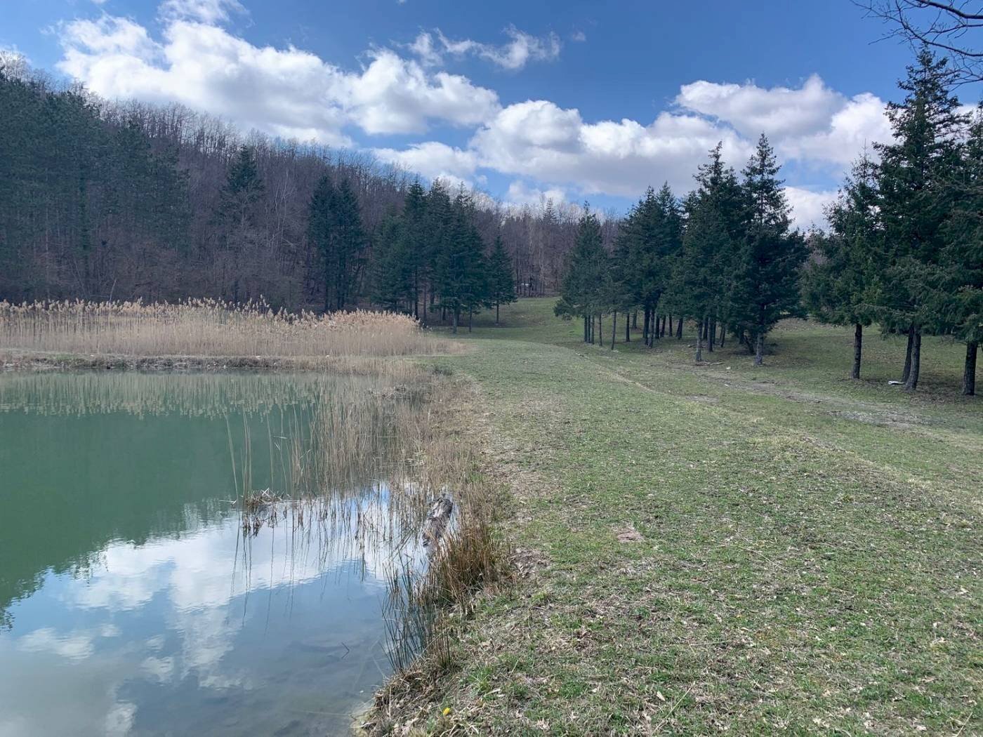 Cascina Località Bargi, Castiglione dei Pepoli - foto 3