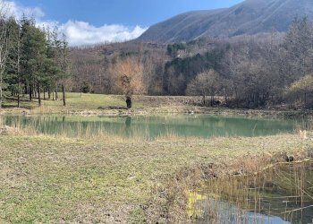 Cascina Località Bargi, Castiglione dei Pepoli - foto 2