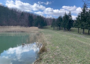 Cascina Località Bargi, Castiglione dei Pepoli - foto 3