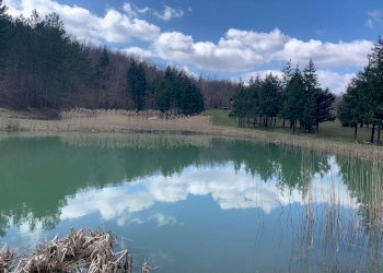 Cascina Località Bargi, Castiglione dei Pepoli - foto 4
