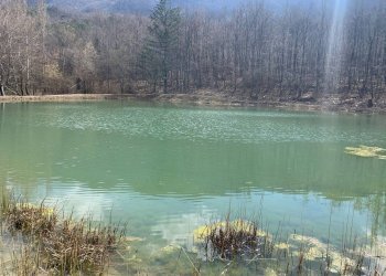 Cascina Località Bargi, Castiglione dei Pepoli - foto 5