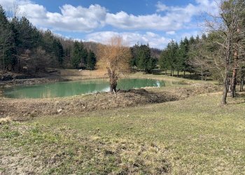 Cascina Località Bargi, Castiglione dei Pepoli - foto 6