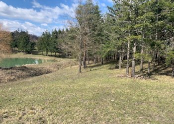 Cascina Località Bargi, Castiglione dei Pepoli - foto 7