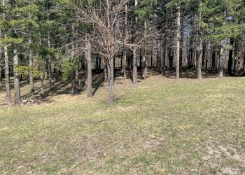 Cascina Località Bargi, Castiglione dei Pepoli - foto 8