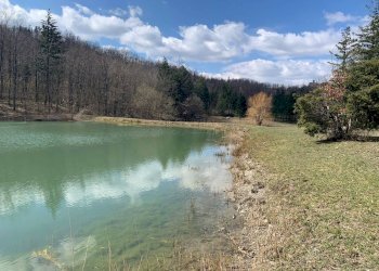 Cascina Località Bargi, Castiglione dei Pepoli - foto 9