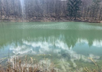 Cascina Località Bargi, Castiglione dei Pepoli - foto 11