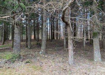 Cascina Località Bargi, Castiglione dei Pepoli - foto 14