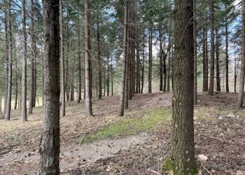 Cascina Località Bargi, Castiglione dei Pepoli - foto 15