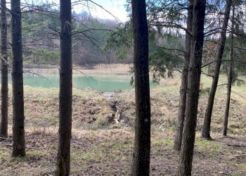 Cascina Località Bargi, Castiglione dei Pepoli - foto 16
