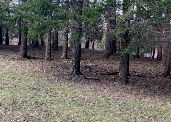 Cascina Località Bargi, Castiglione dei Pepoli - foto 18