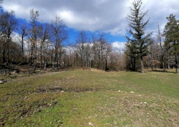 Cascina Località Bargi, Castiglione dei Pepoli - foto 22