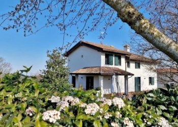 Villa Dozza - photo 15