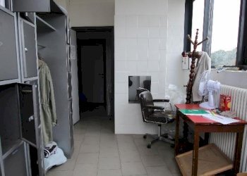 Laboratorio Castel Maggiore - foto 41
