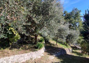 Casa indipendente Via don francesco renzi, Borghi - foto 37