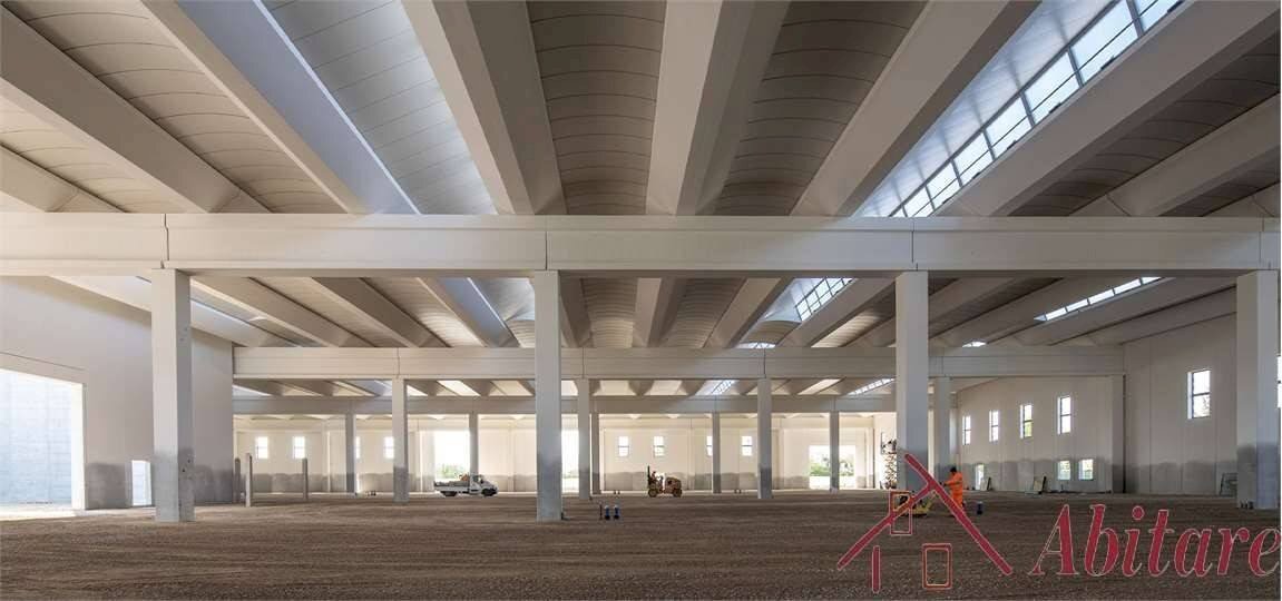 Capannone Magliano Alfieri - foto 3