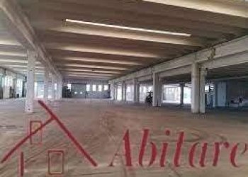 Capannone Magliano Alfieri - foto 4