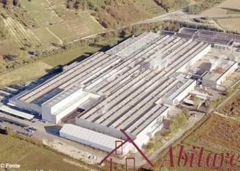 Capannone Magliano Alfieri - foto 5