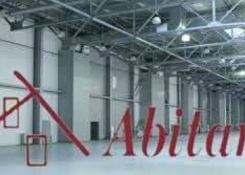 Capannone Alba - foto 5