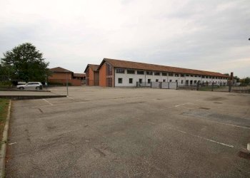 Negozio Corso piave, 182, Alba - foto 1