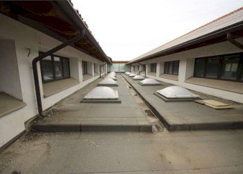 Negozio Corso piave, 182, Alba - foto 14