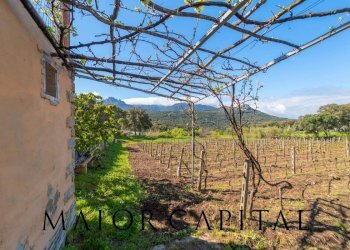 Casa indipendente Loc. la Talga, Calangianus - foto 17