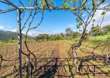 Casa indipendente Loc. la Talga, Calangianus - foto 18