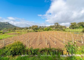 Casa indipendente Loc. la Talga, Calangianus - foto 19
