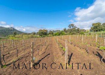 Casa indipendente Loc. la Talga, Calangianus - foto 20