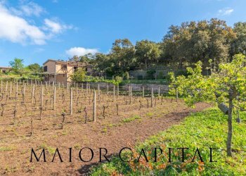 Casa indipendente Loc. la Talga, Calangianus - foto 21