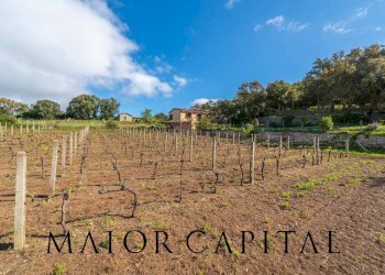 Casa indipendente Loc. la Talga, Calangianus - foto 22