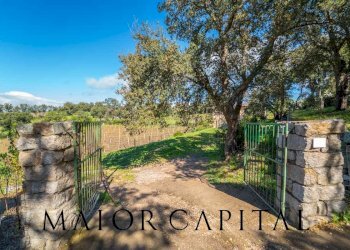 Casa indipendente Loc. la Talga, Calangianus - foto 23