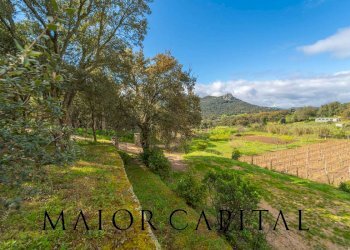 Casa indipendente Loc. la Talga, Calangianus - foto 24