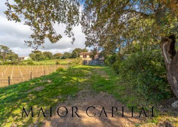 Casa indipendente Loc. la Talga, Calangianus - foto 27